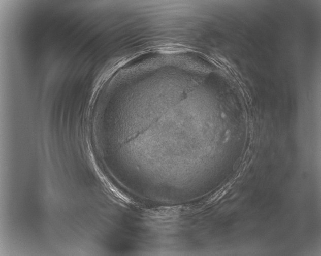 X0000058780049200509301125