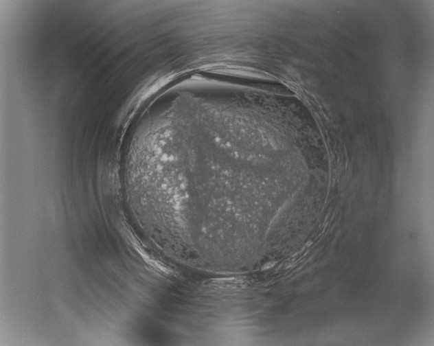 X0000058780050200509301125