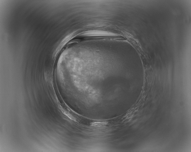 X0000058780051200509301125