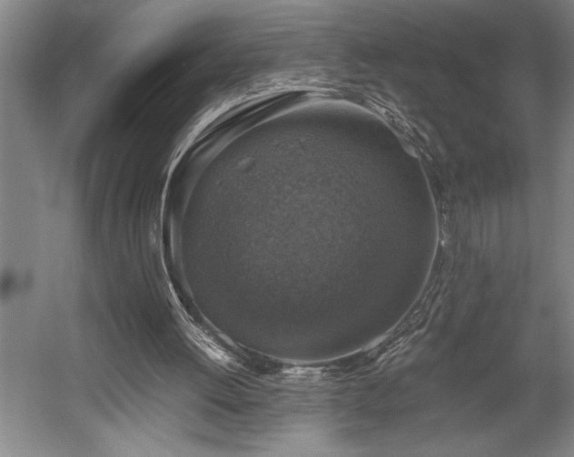 X0000058780052200509301125