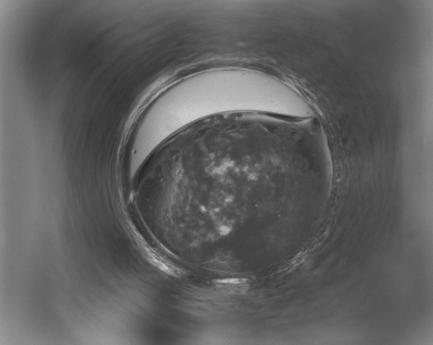 X0000058780053200509301125