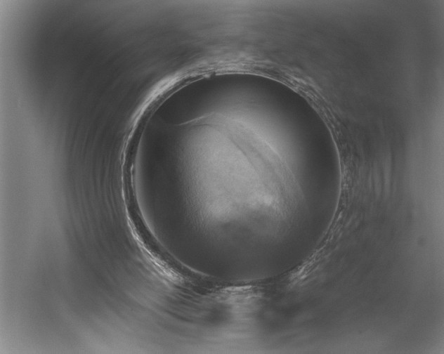 X0000058780054200509301125