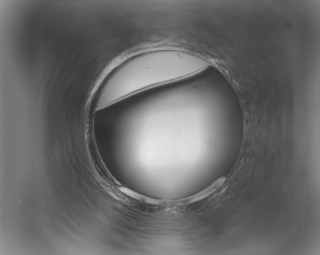 X0000058780056200509301125