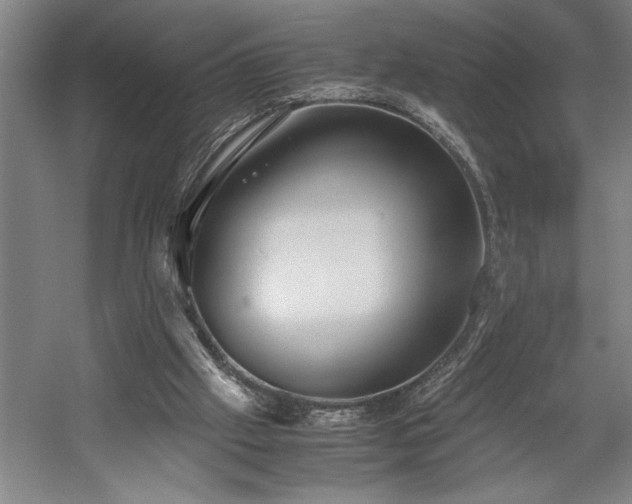 X0000058780057200509301125