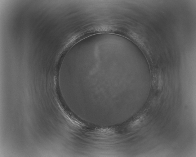 X0000058780063200509301125