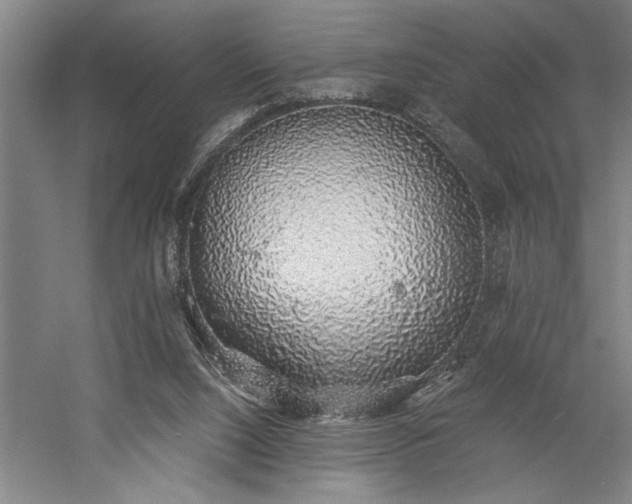 X0000058780064200509301125