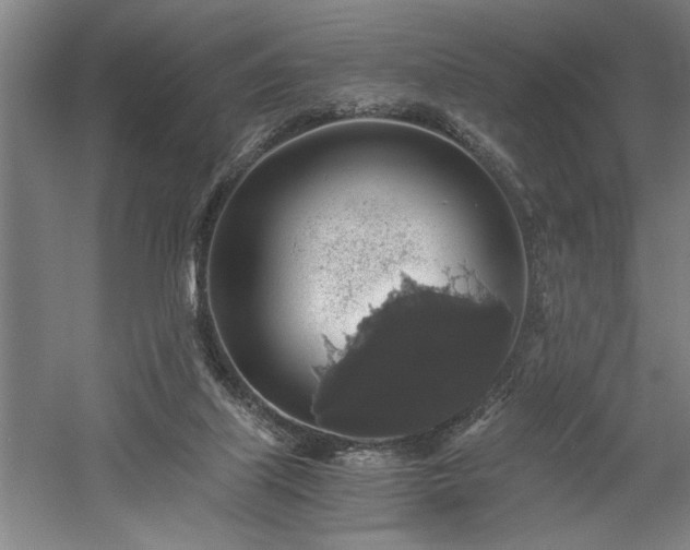 X0000058780067200509301126