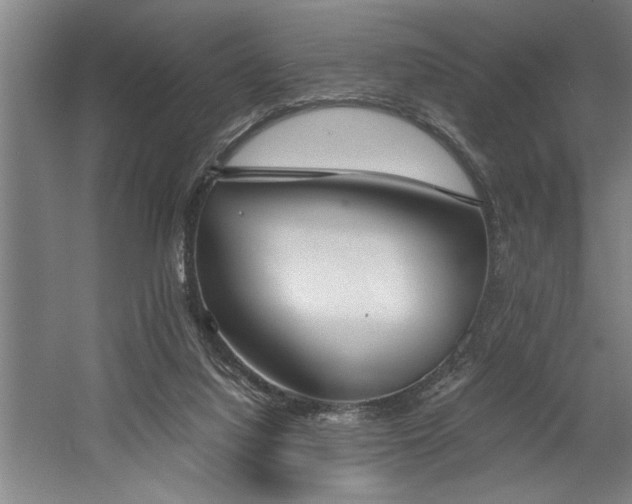 X0000058780068200509301126