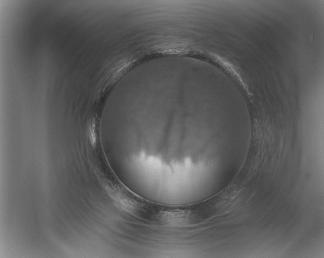 X0000058780069200509301126