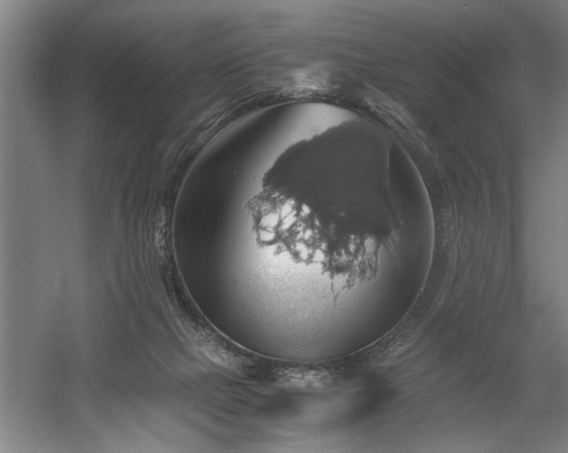 X0000058780073200509301126