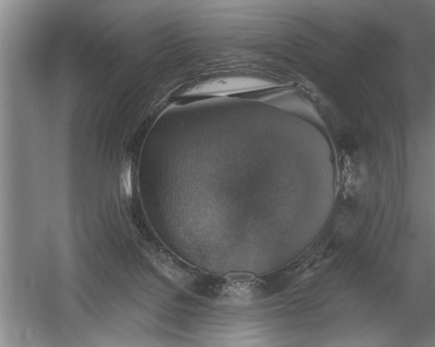 X0000058780076200509301126