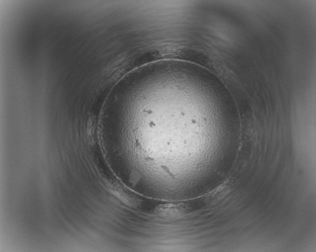 X0000058780082200509301126