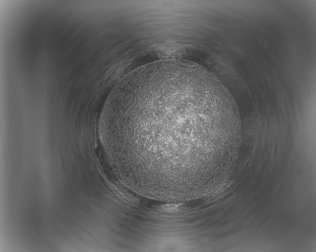 X0000058780090200509301126