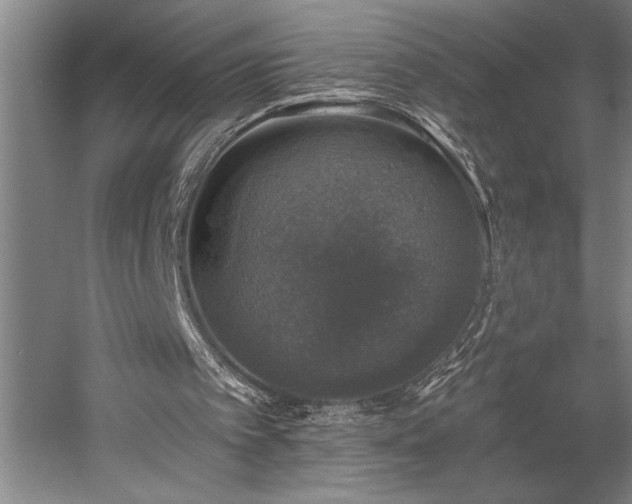 X0000058780097200509301125