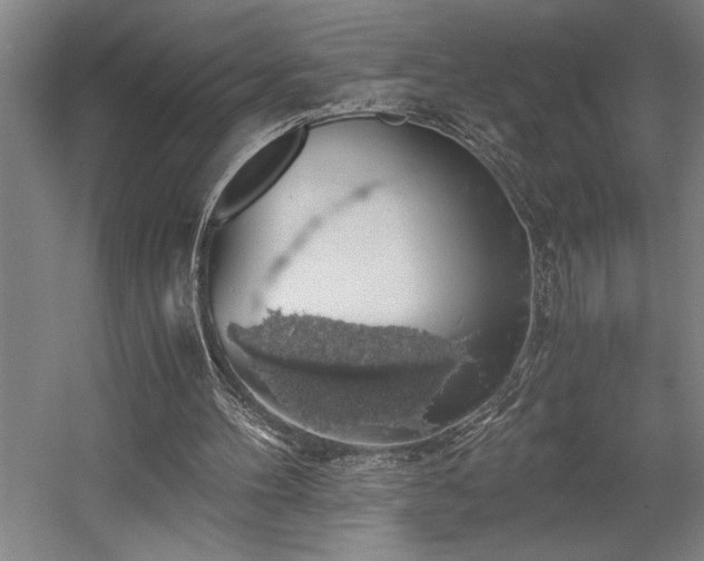 X0000058780100200509301125