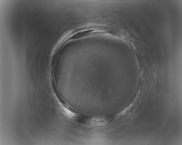 X0000058780101200509301125