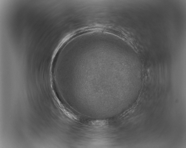 X0000058780102200509301125