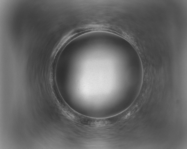 X0000058780103200509301125