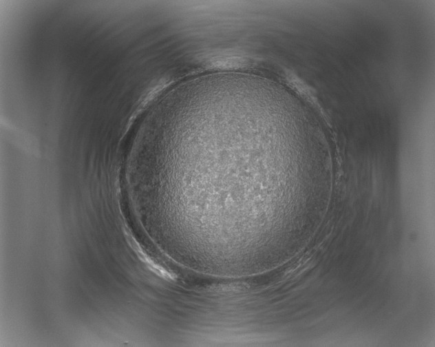 X0000058780106200509301125