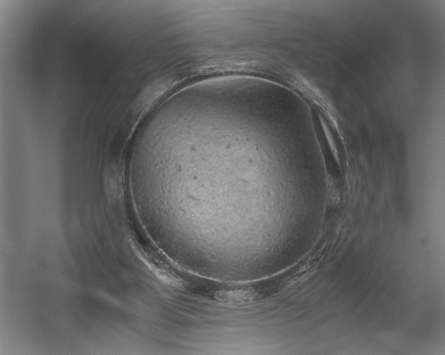 X0000058780107200509301125