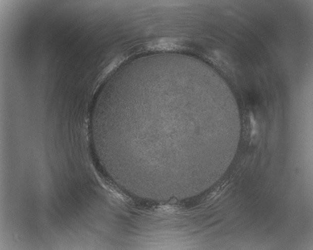 X0000058780111200509301125