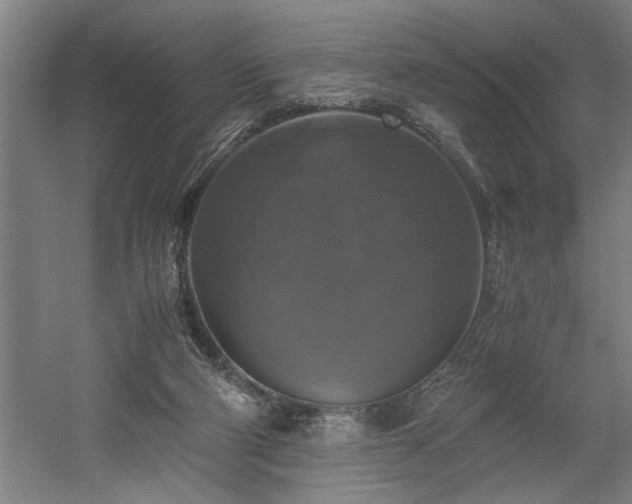 X0000058780114200509301125