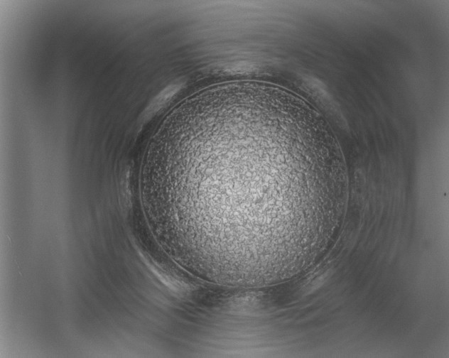 X0000058780116200509301125