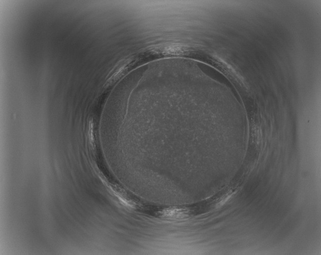 X0000058780117200509301125