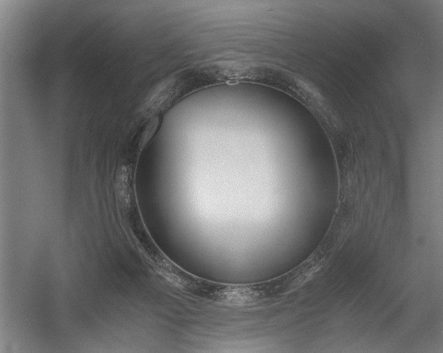 X0000058780121200509301125