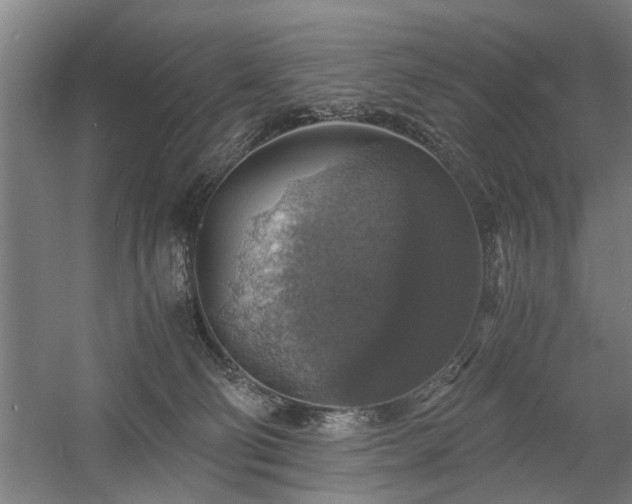 X0000058780130200509301125