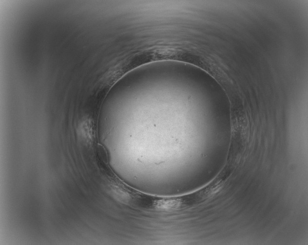 X0000058780135200509301125