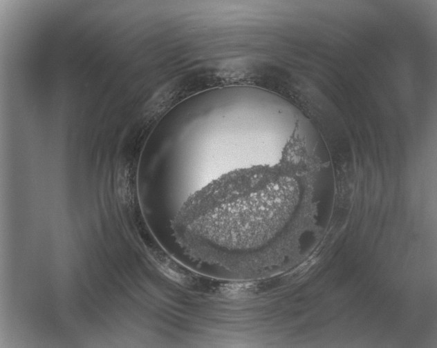 X0000058780136200509301125