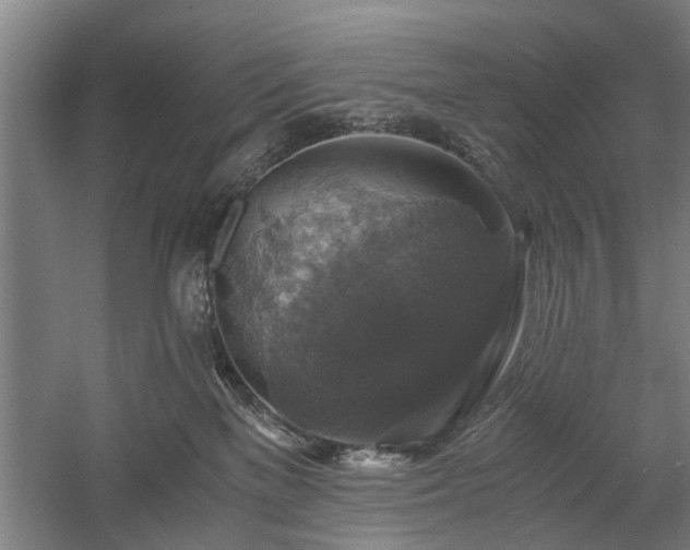 X0000058780137200509301125