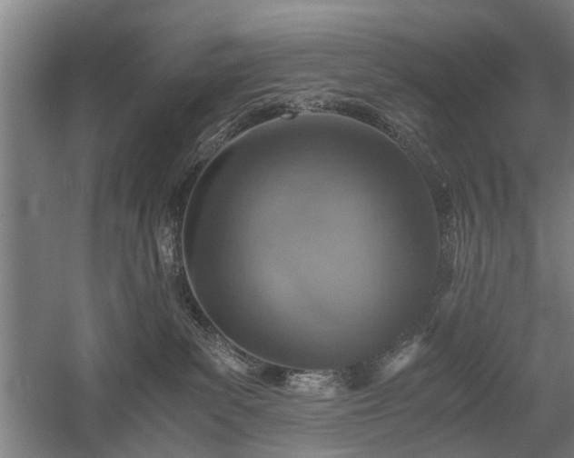 X0000058780139200509301124