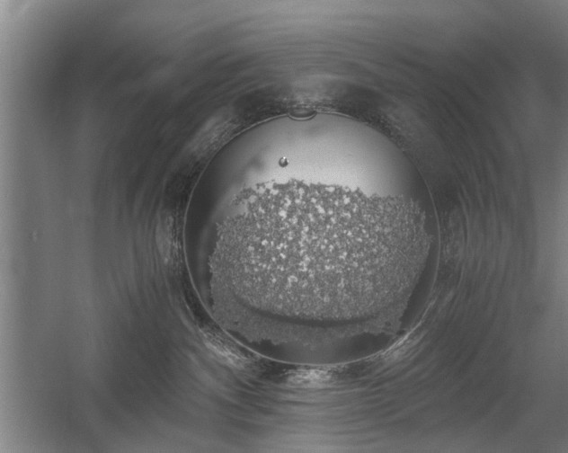 X0000058780140200509301124