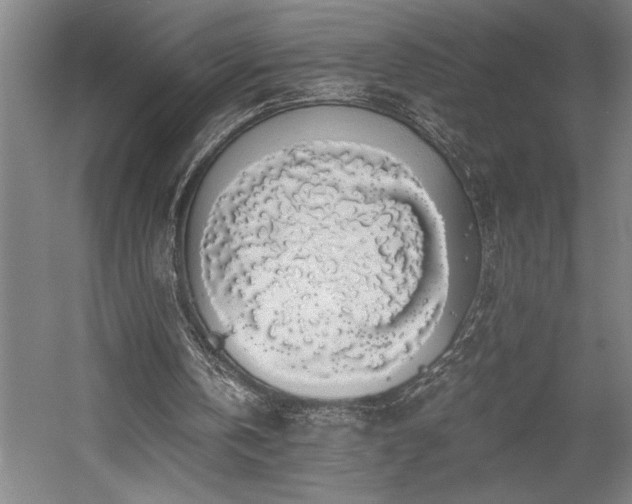 X0000058780146200509301124