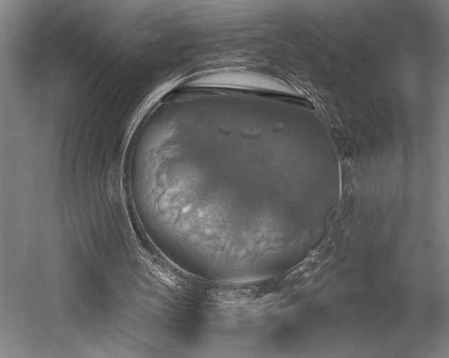 X0000058780147200509301124