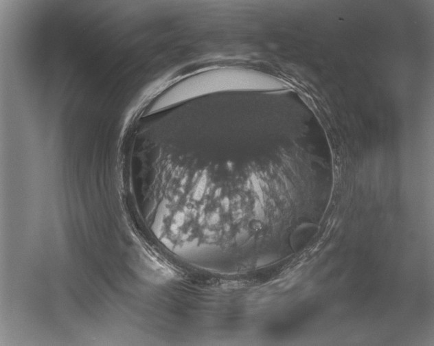 X0000058780149200509301124