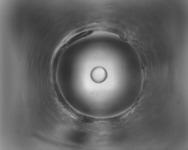 X0000058780150200509301124