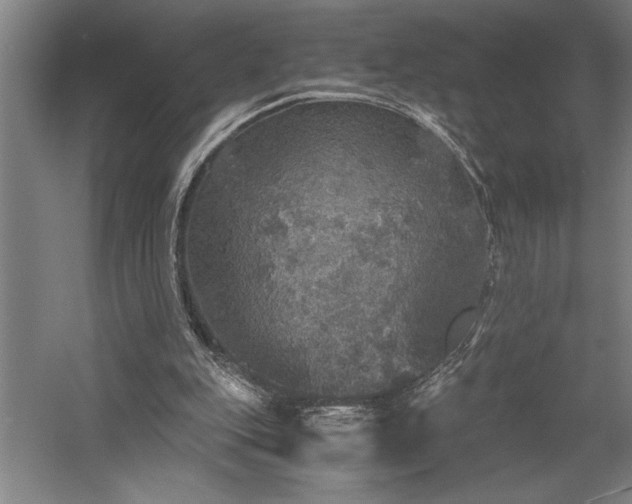 X0000058780151200509301124