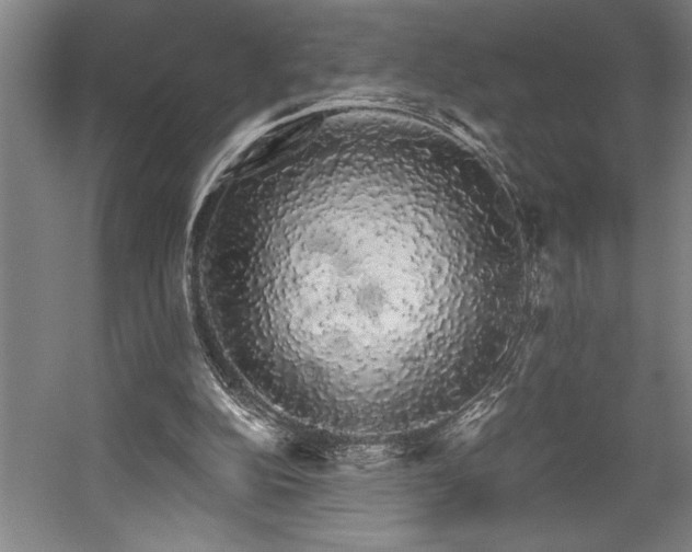 X0000058780152200509301124