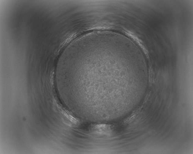 X0000058780153200509301124