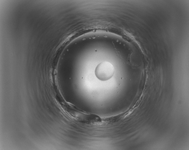 X0000058780154200509301124