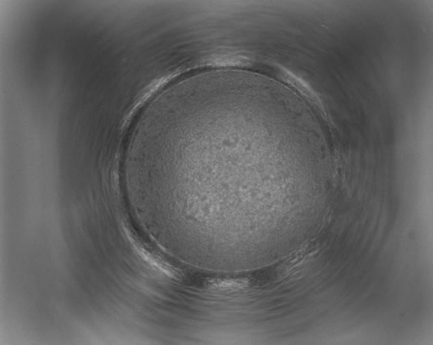 X0000058780155200509301124