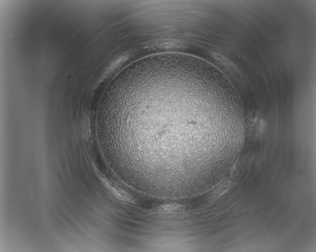 X0000058780158200509301124