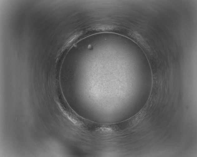 X0000058780159200509301124