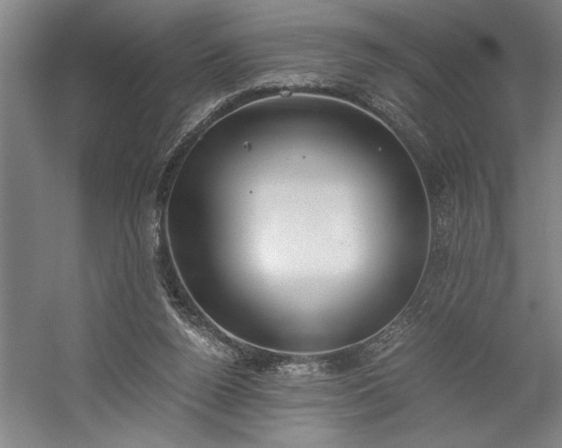 X0000058780160200509301124