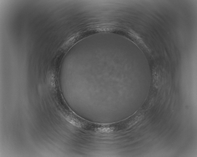 X0000058780161200509301124