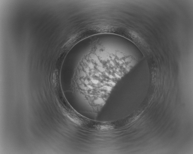 X0000058780165200509301124