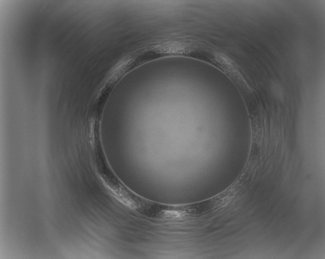 X0000058780167200509301124